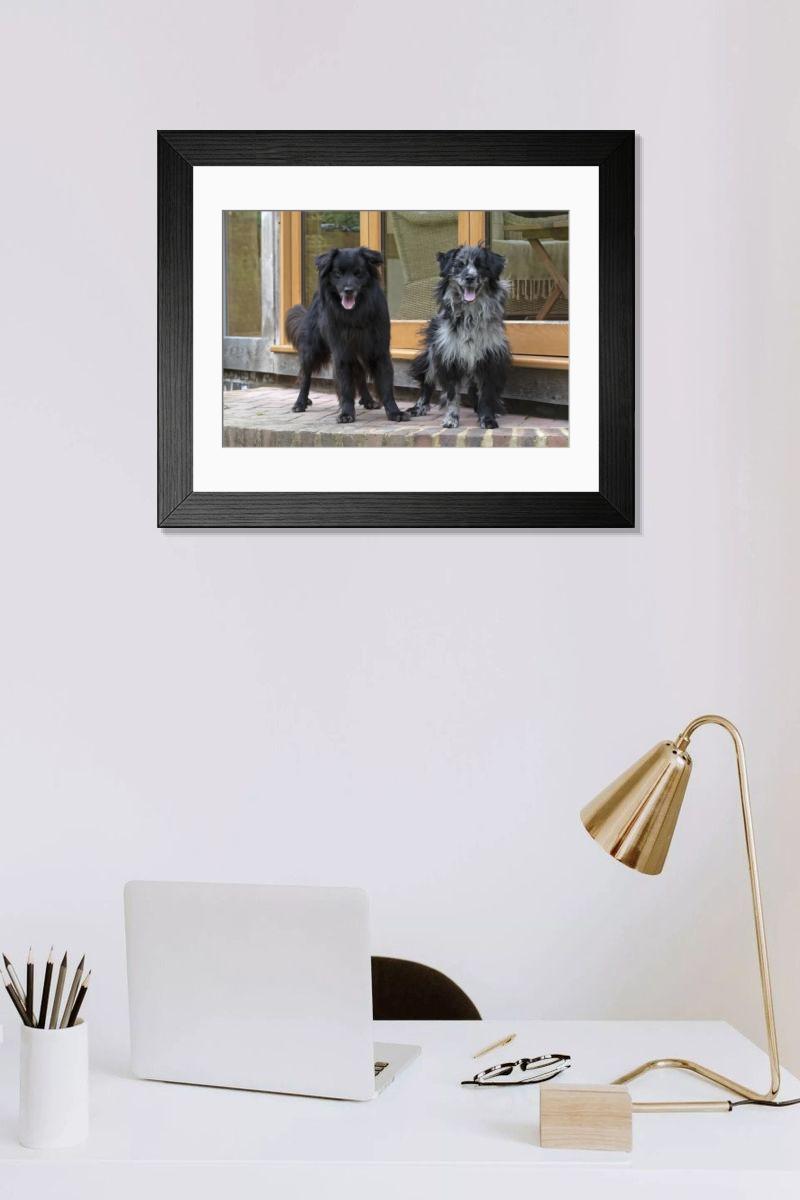 Shown hanging in a room: Modern 14"x12" (36x31cm)