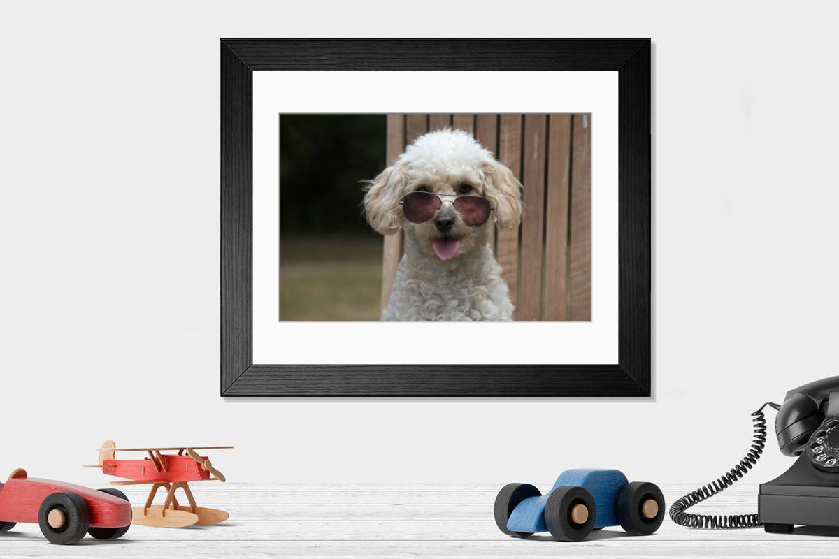 product preview 0