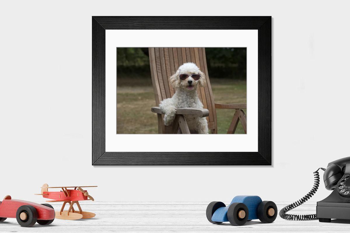 product preview 0