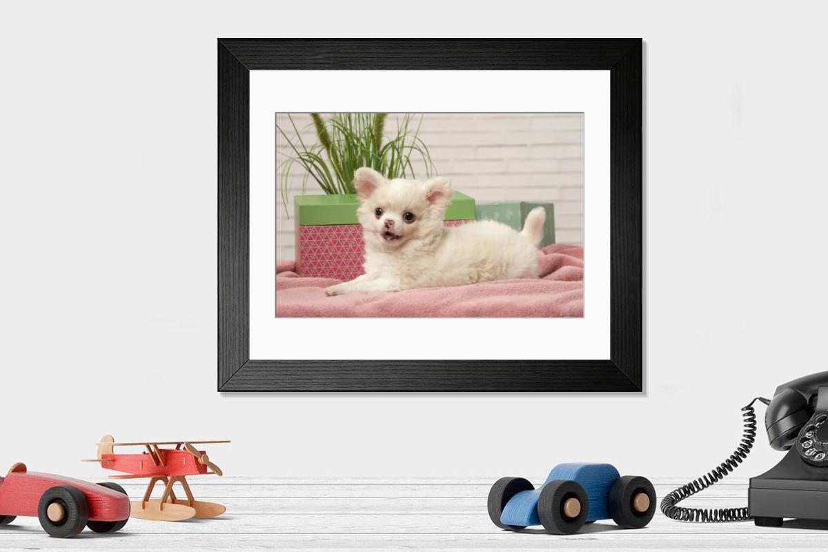 product preview 0