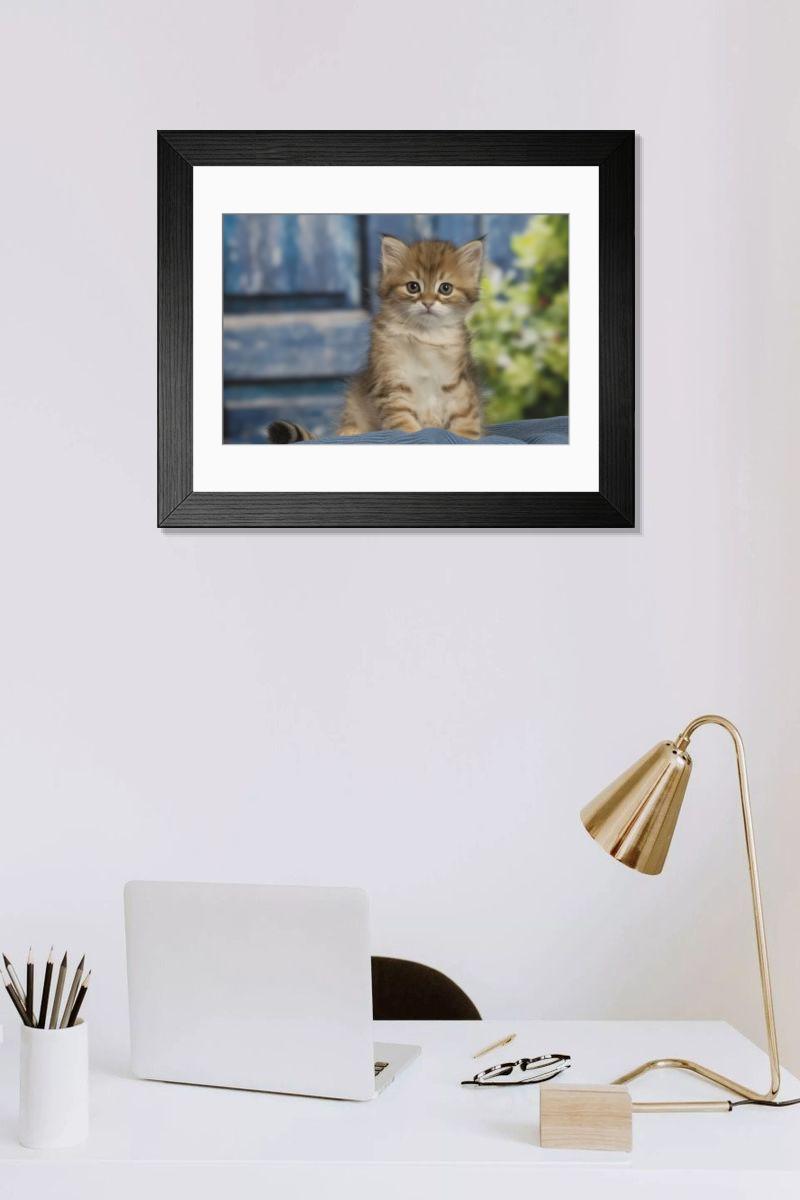 Shown hanging in a room: Modern 14"x12" (36x31cm)
