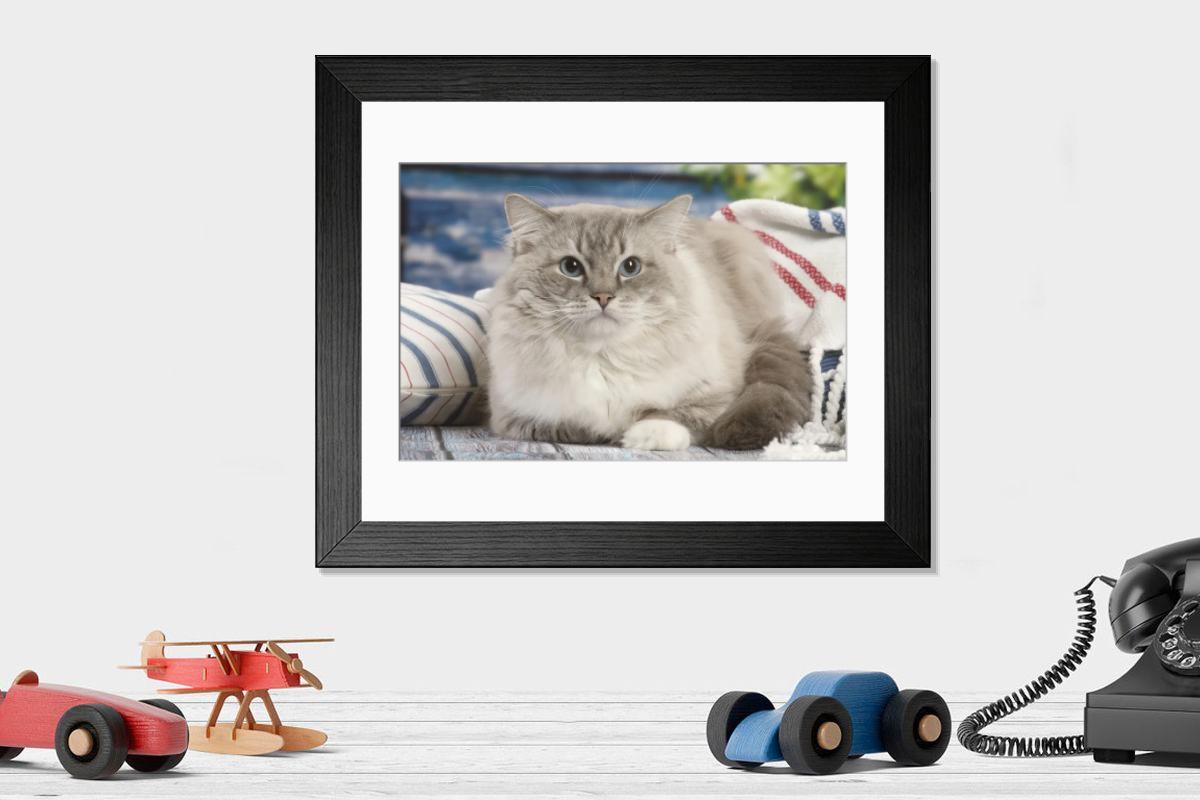 product preview 0