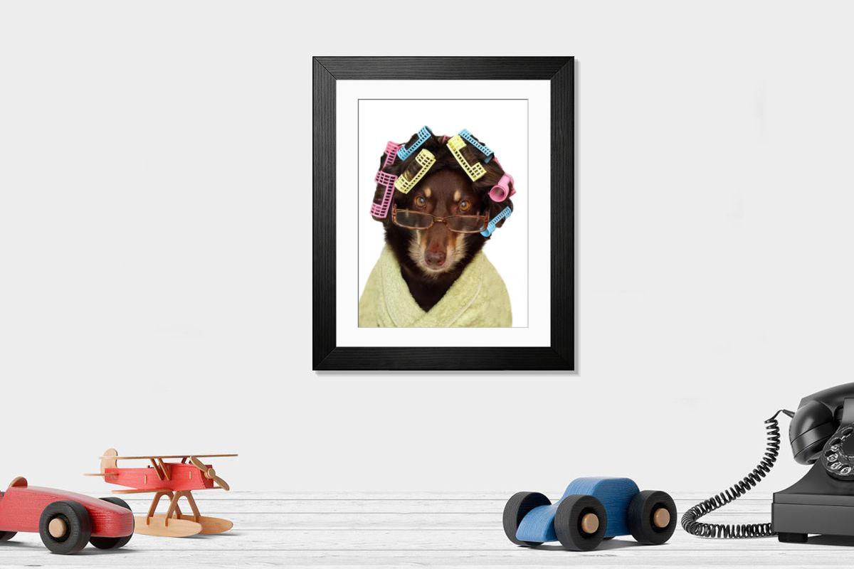 product preview 0