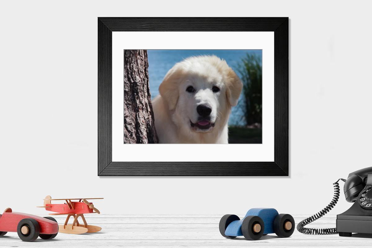 product preview 0