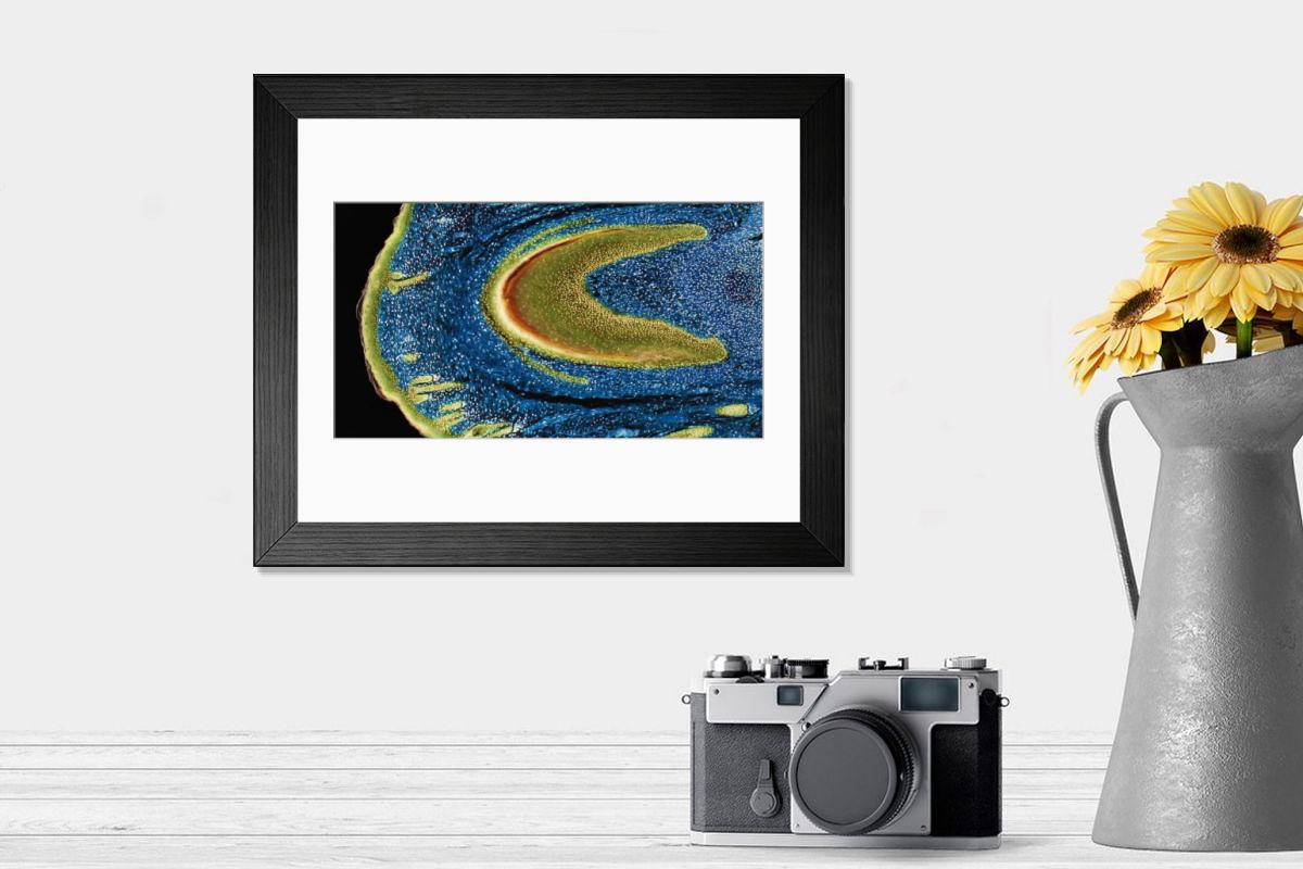 Shown hanging in a room: Modern 14"x12" (36x31cm)