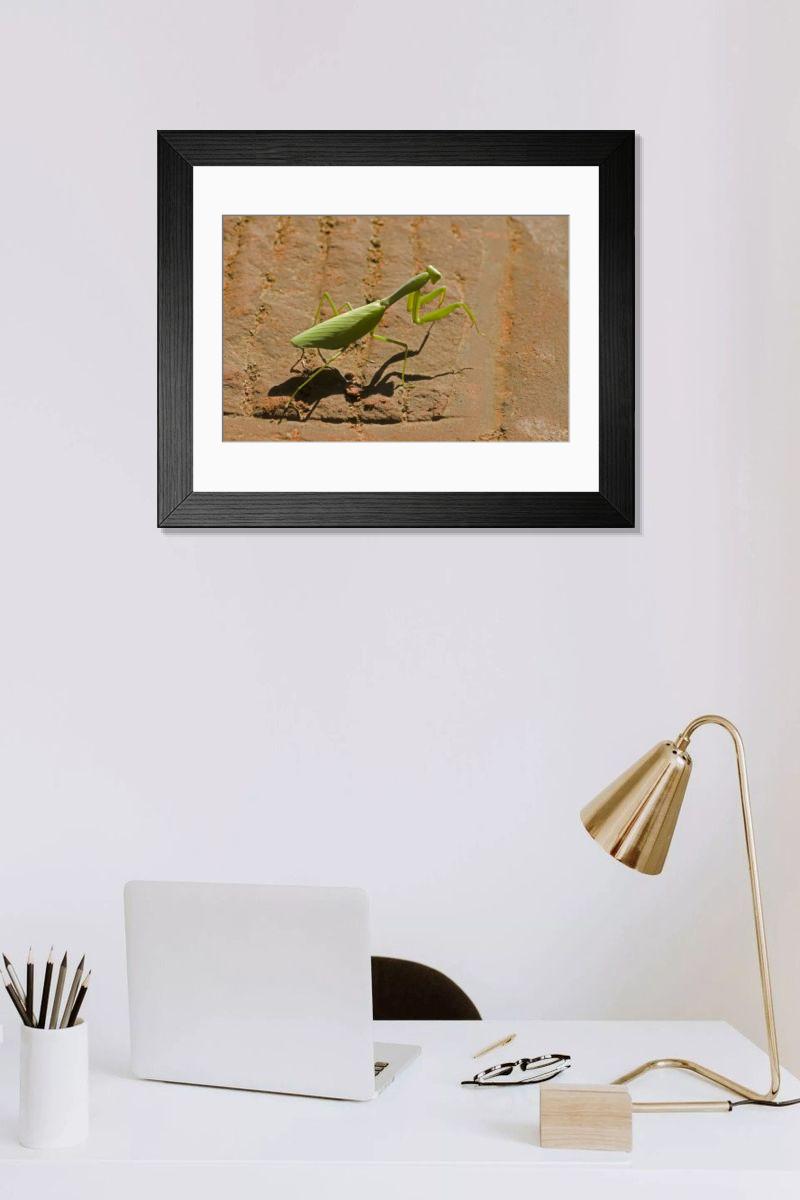 product preview 0