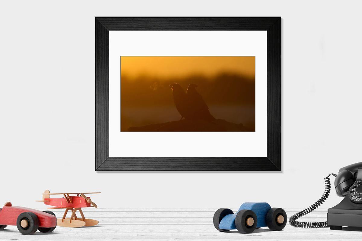 Shown hanging in a room: Modern 14"x12" (36x31cm)