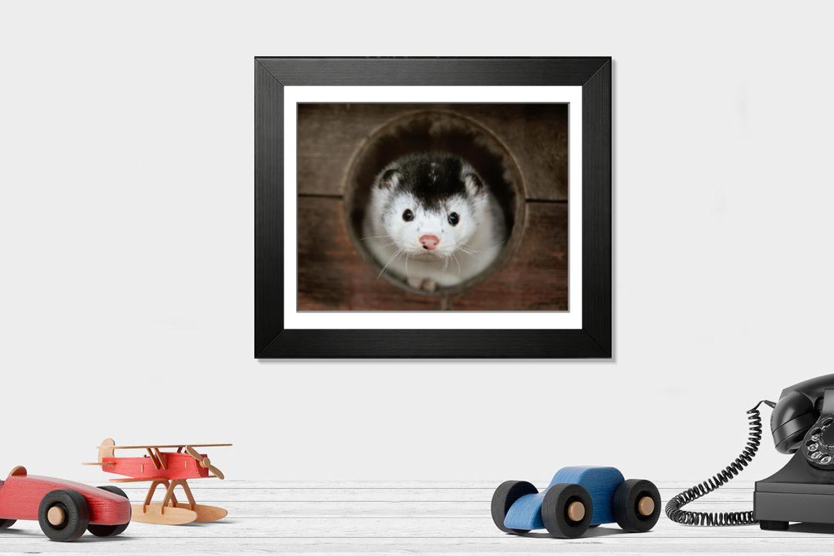 product preview 0