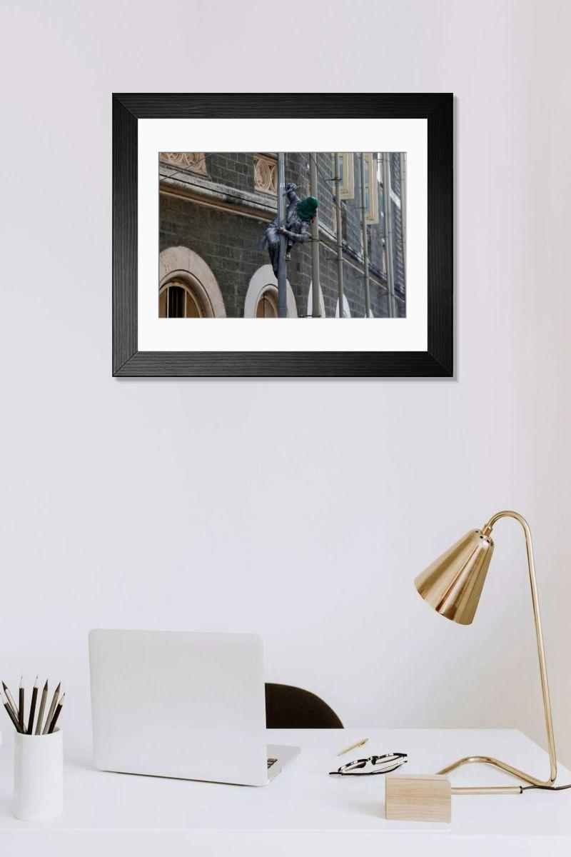 product preview 0