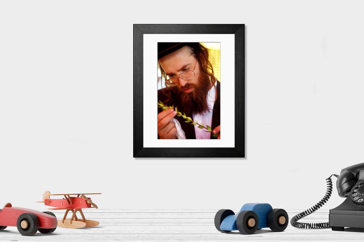 product preview 0