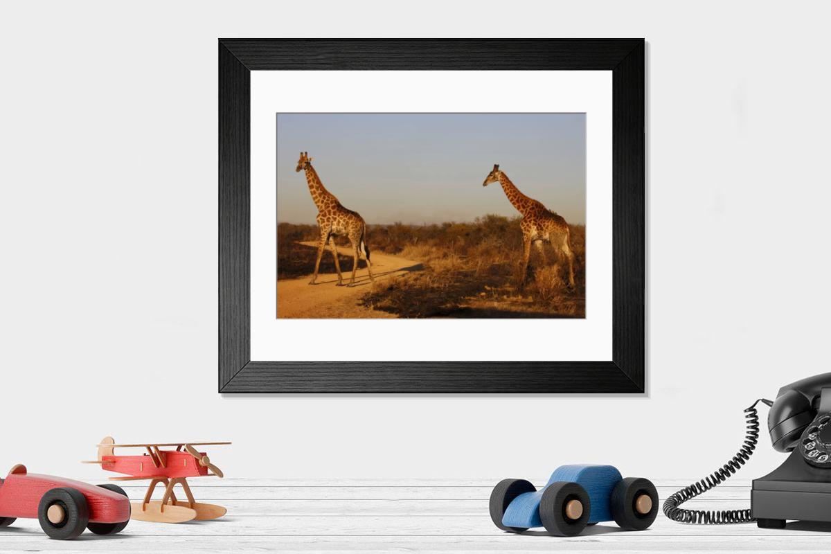 product preview 0