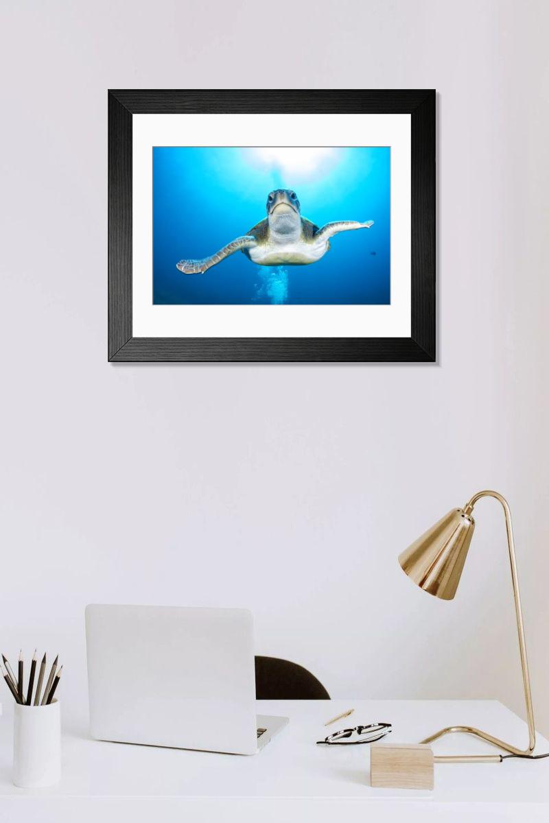 product preview 0