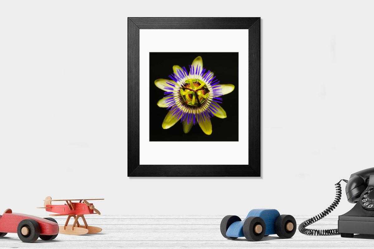 Shown hanging in a room: Modern 14"x12" (36x31cm)