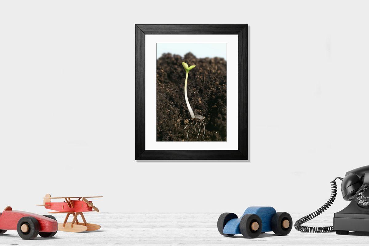 Shown hanging in a room: Modern 14"x12" (36x31cm)