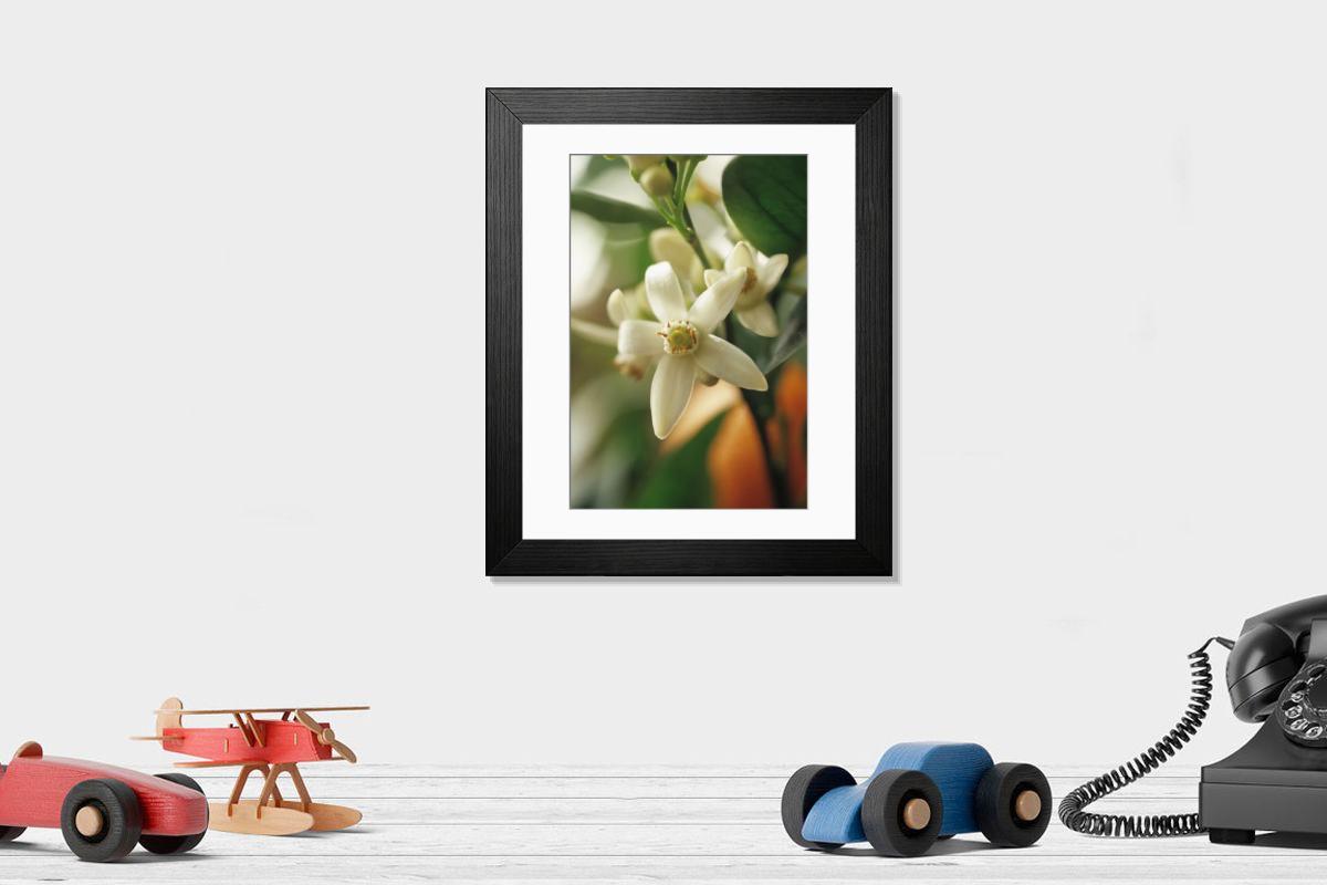 Shown hanging in a room: Modern 14"x12" (36x31cm)