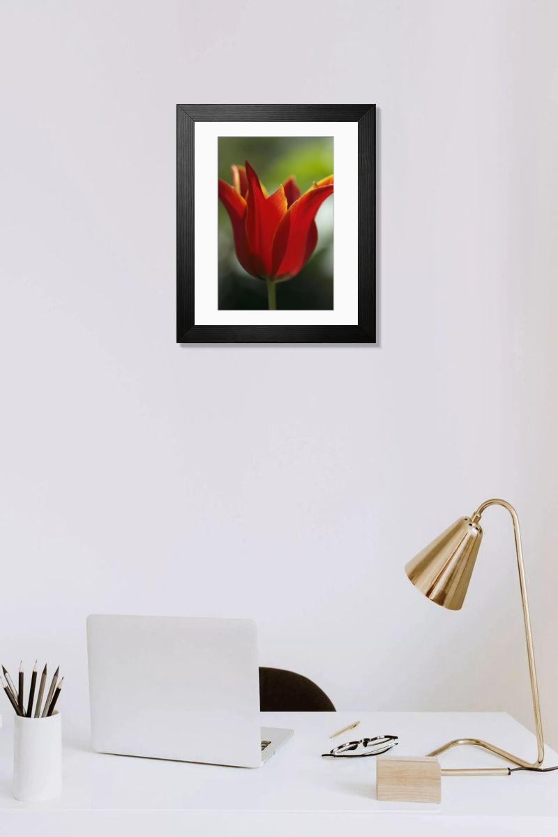 Shown hanging in a room: Modern 14"x12" (36x31cm)