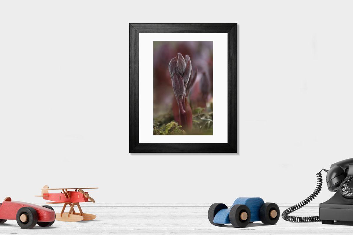 Shown hanging in a room: Modern 14"x12" (36x31cm)