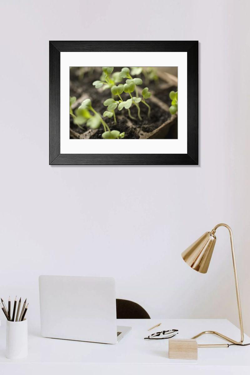 Shown hanging in a room: Modern 14"x12" (36x31cm)