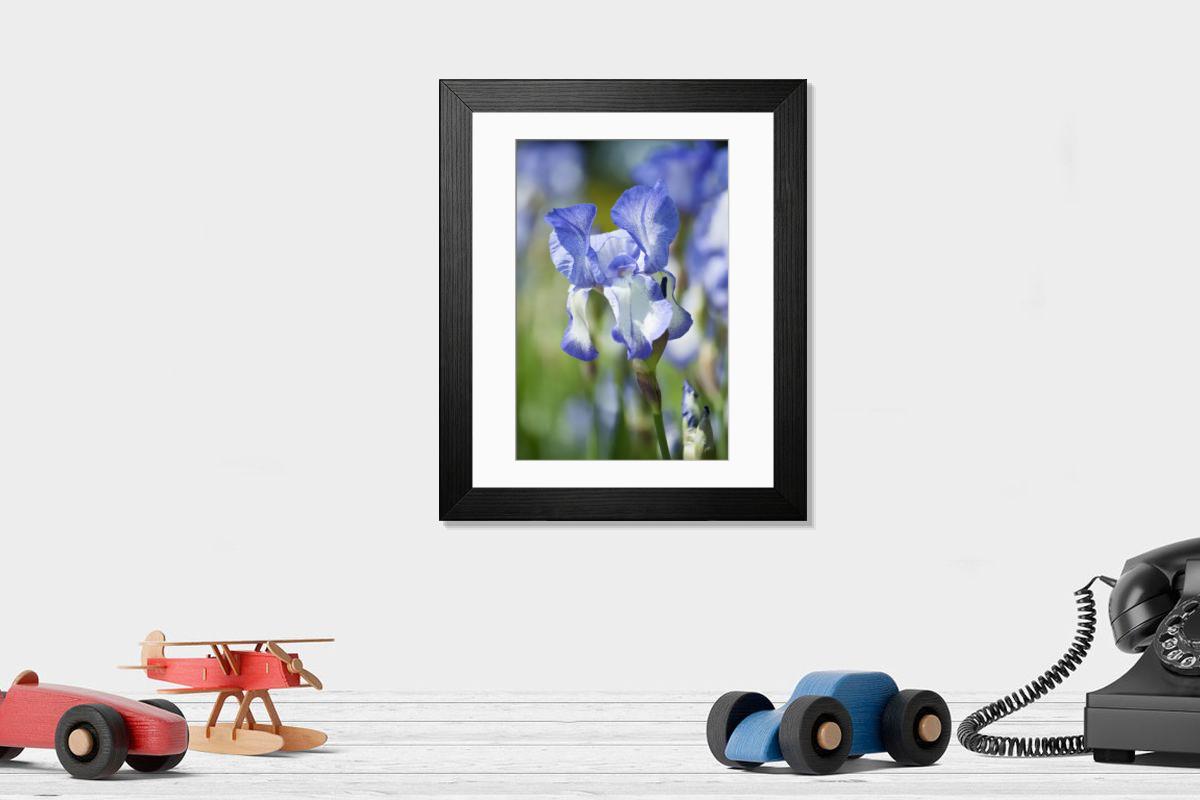 Shown hanging in a room: Modern 14"x12" (36x31cm)