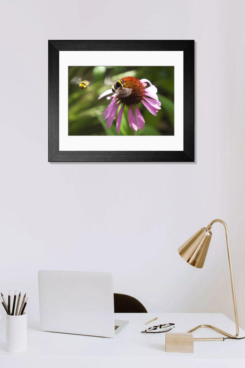 Shown hanging in a room: Modern 14"x12" (36x31cm)