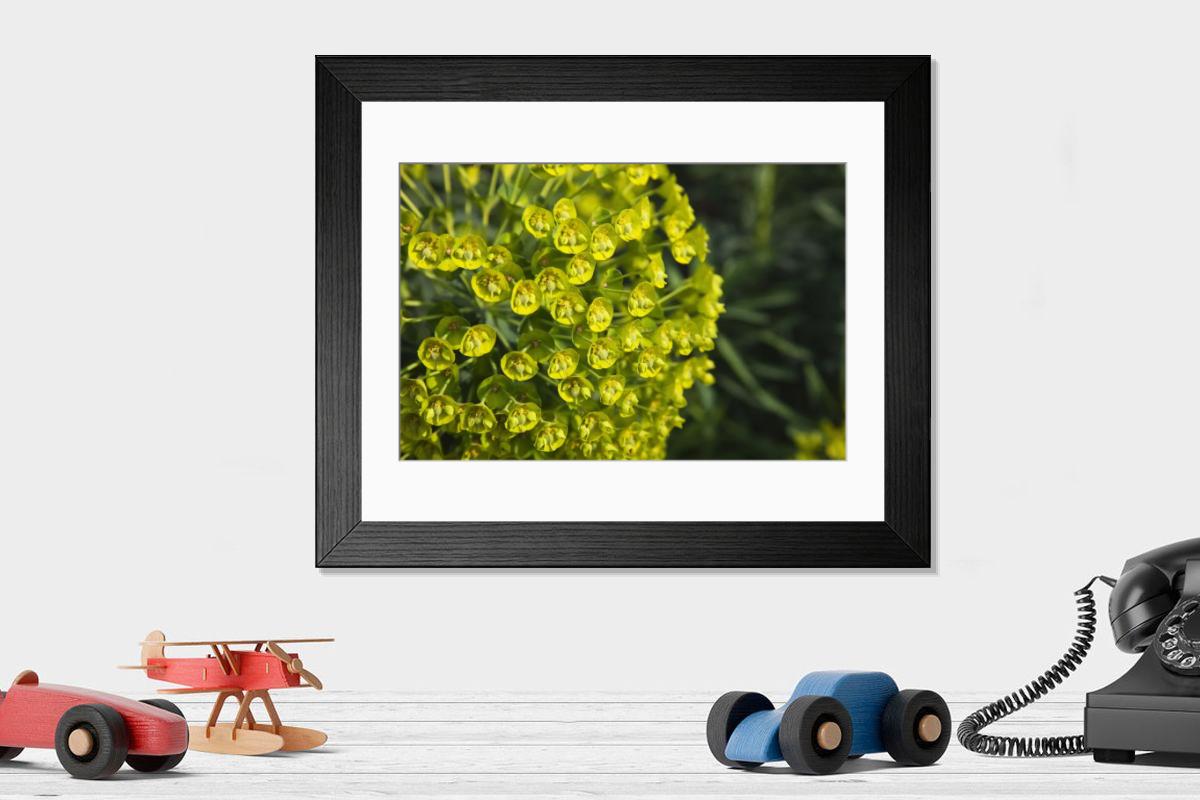 Shown hanging in a room: Modern 14"x12" (36x31cm)