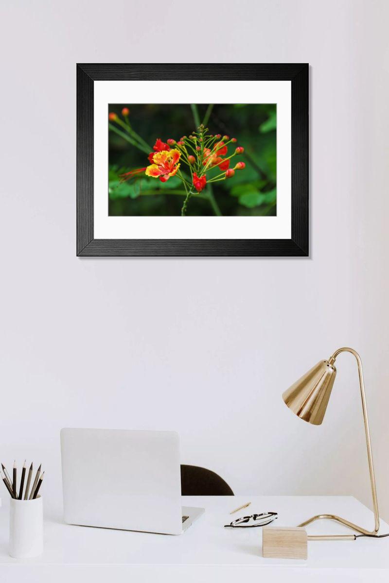 Shown hanging in a room: Modern 14"x12" (36x31cm)