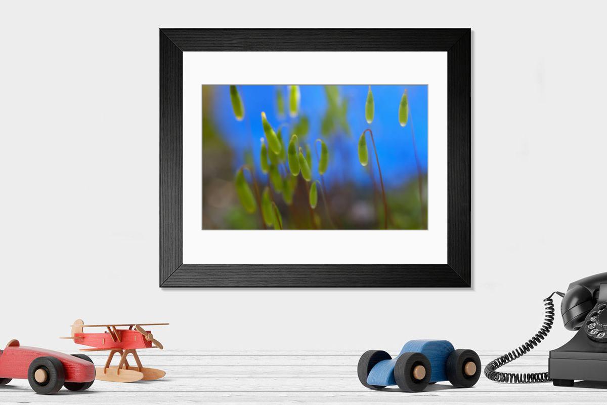 Shown hanging in a room: Modern 14"x12" (36x31cm)
