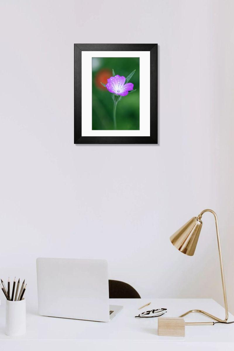 Shown hanging in a room: Modern 14"x12" (36x31cm)