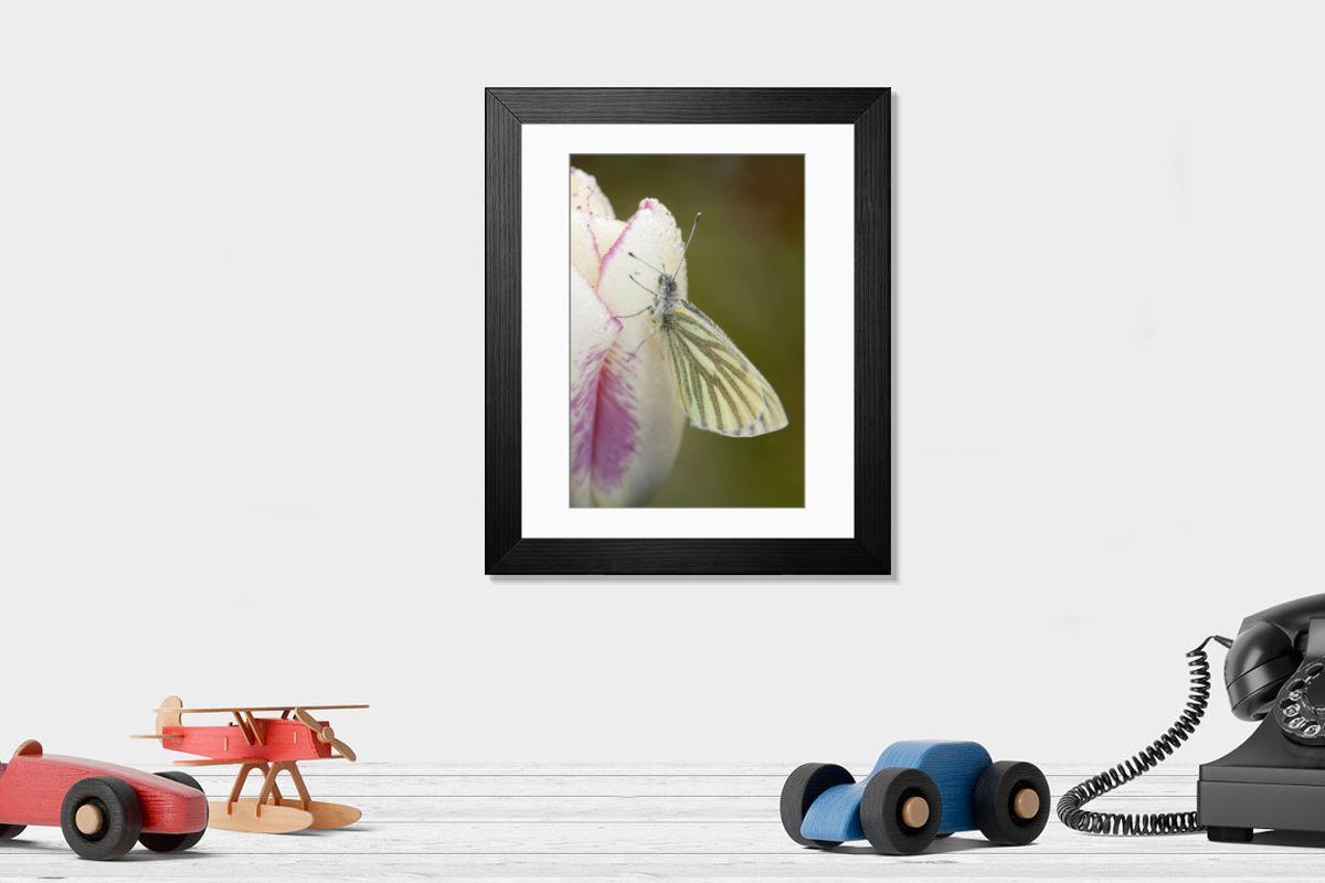 Shown hanging in a room: Modern 14"x12" (36x31cm)