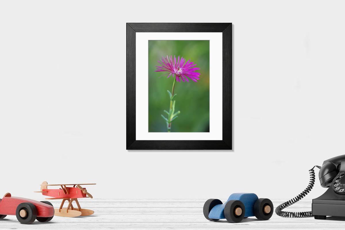 Shown hanging in a room: Modern 14"x12" (36x31cm)