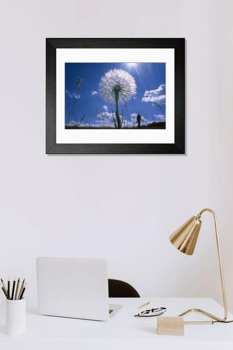 Shown hanging in a room: Modern 14"x12" (36x31cm)