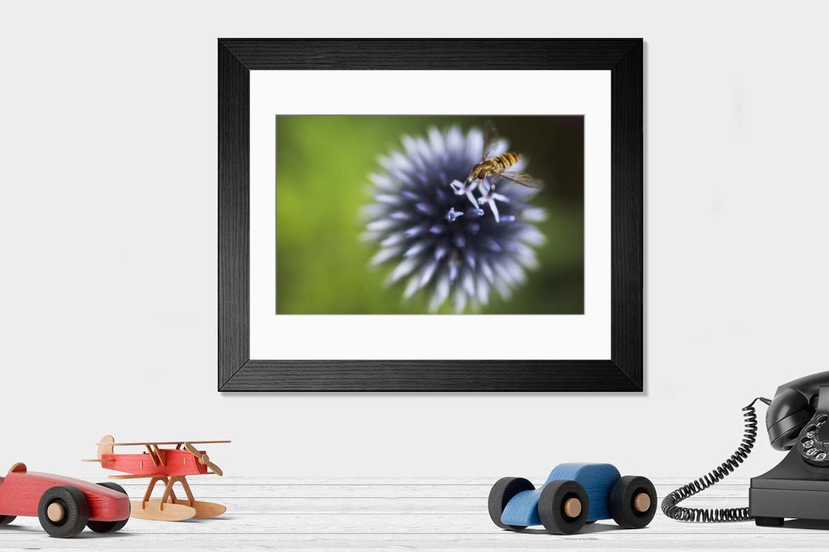 Shown hanging in a room: Modern 14"x12" (36x31cm)