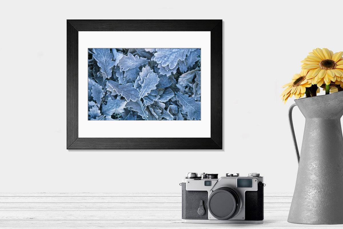 Shown hanging in a room: Modern 14"x12" (36x31cm)