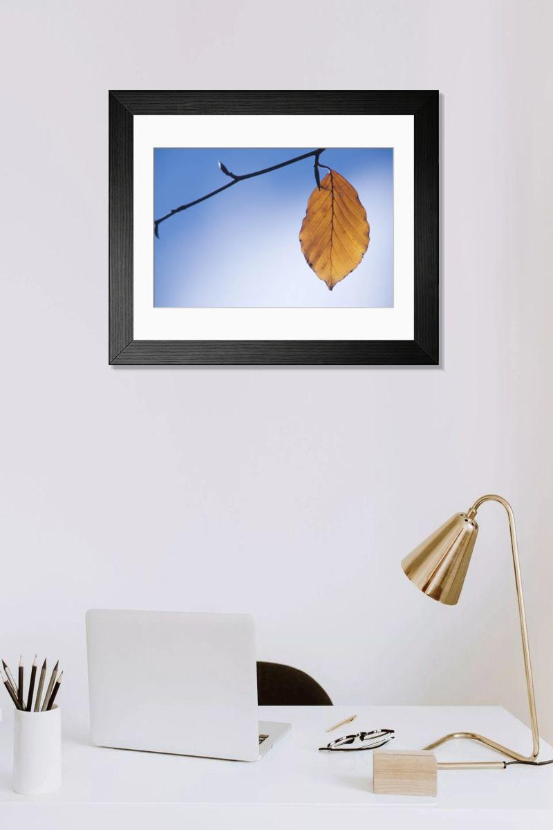 Shown hanging in a room: Modern 14"x12" (36x31cm)