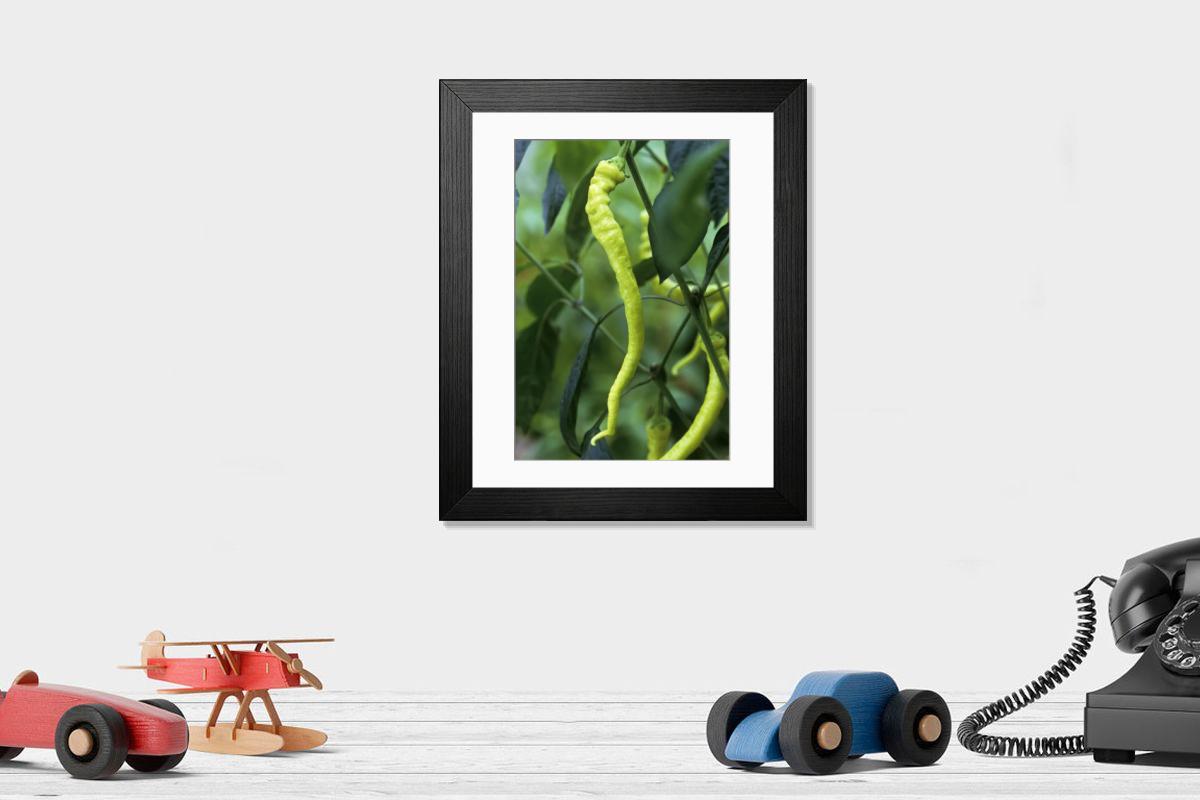 Shown hanging in a room: Modern 14"x12" (36x31cm)
