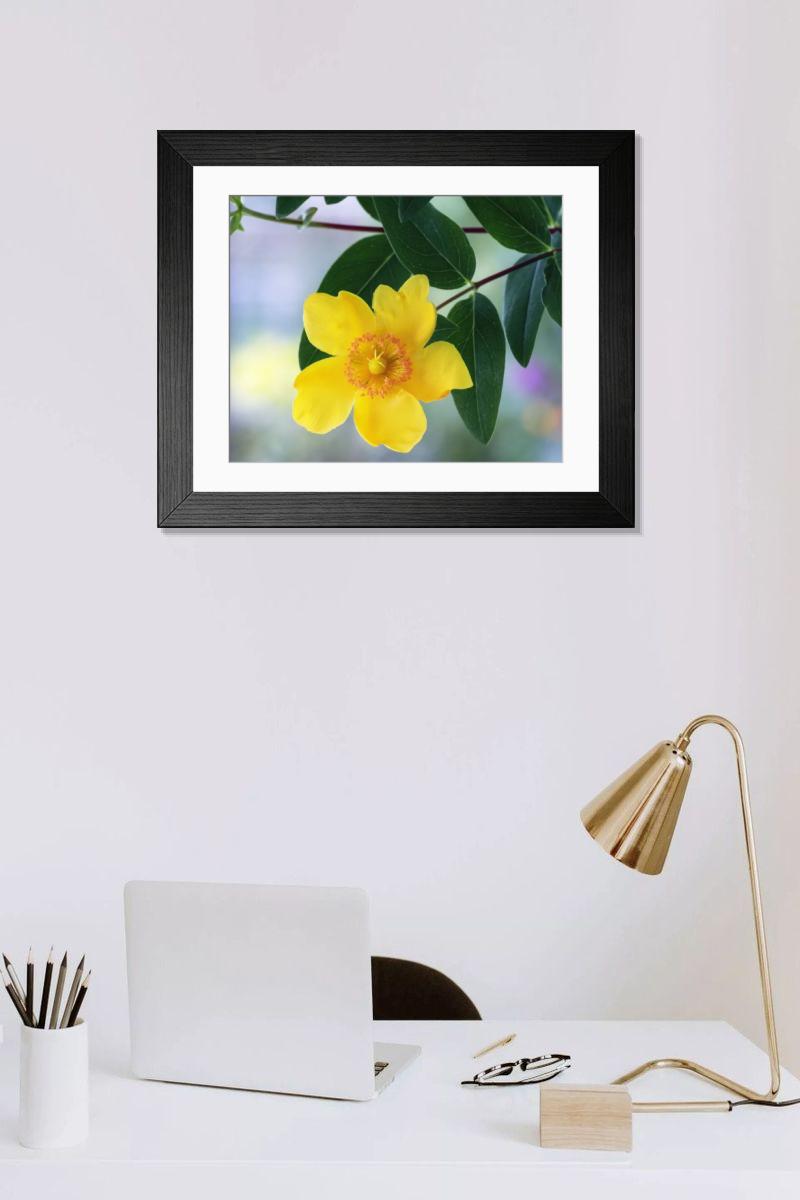 Shown hanging in a room: Modern 14"x12" (36x31cm)