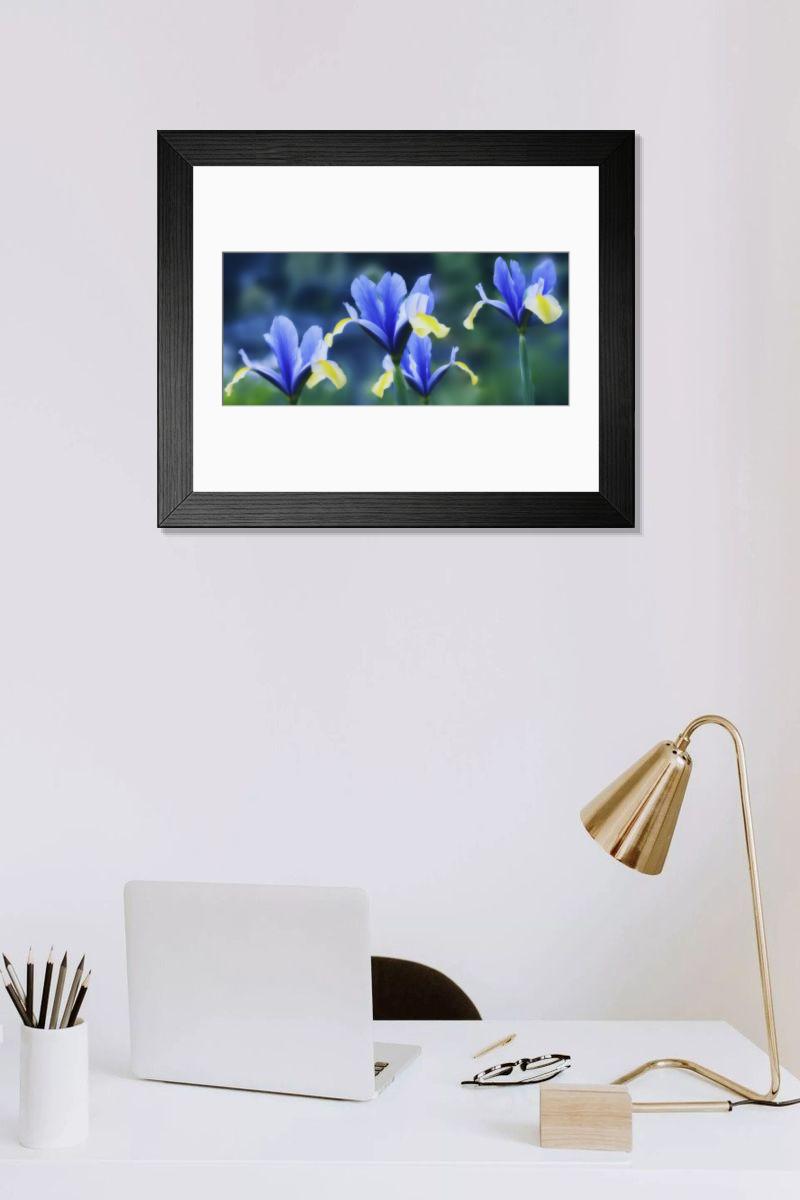 Shown hanging in a room: Modern 14"x12" (36x31cm)