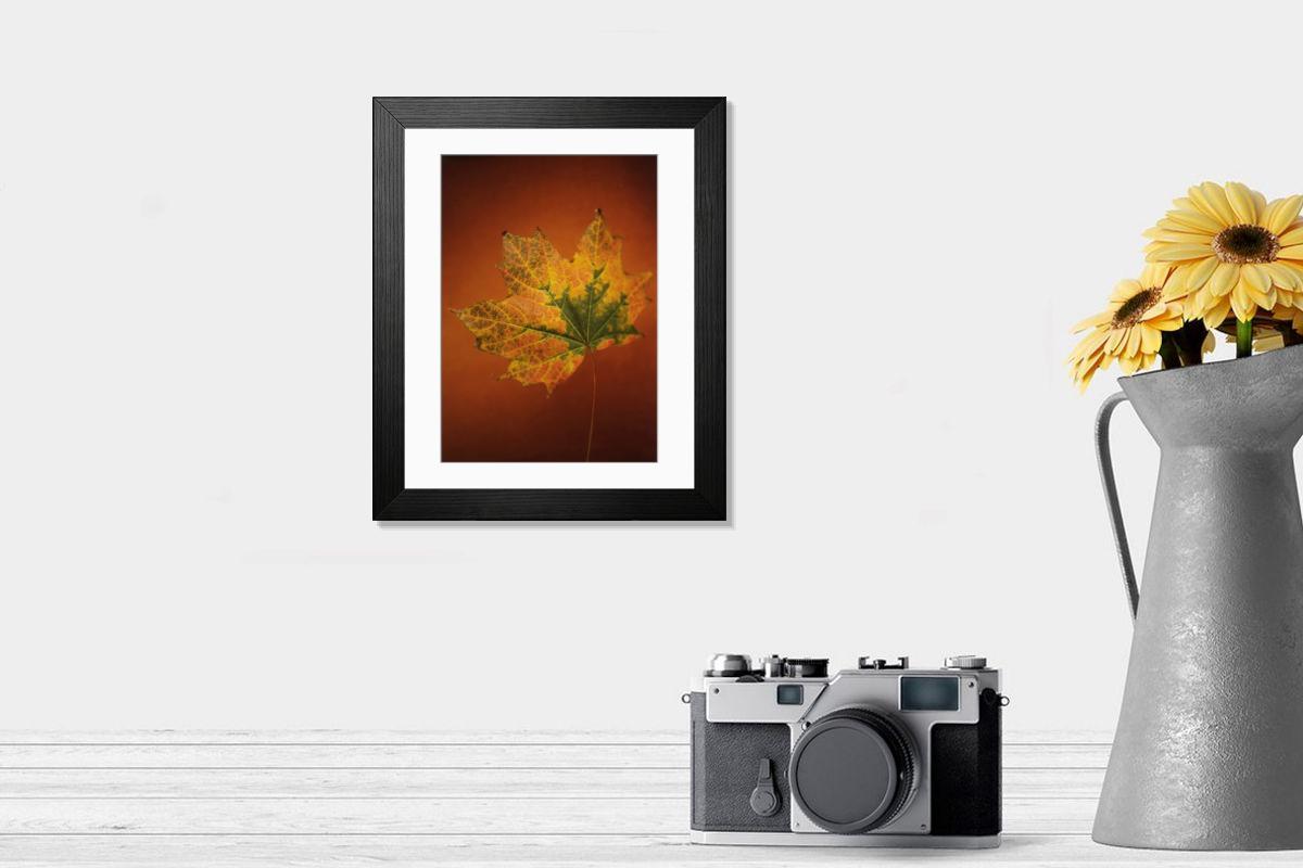 Shown hanging in a room: Modern 14"x12" (36x31cm)