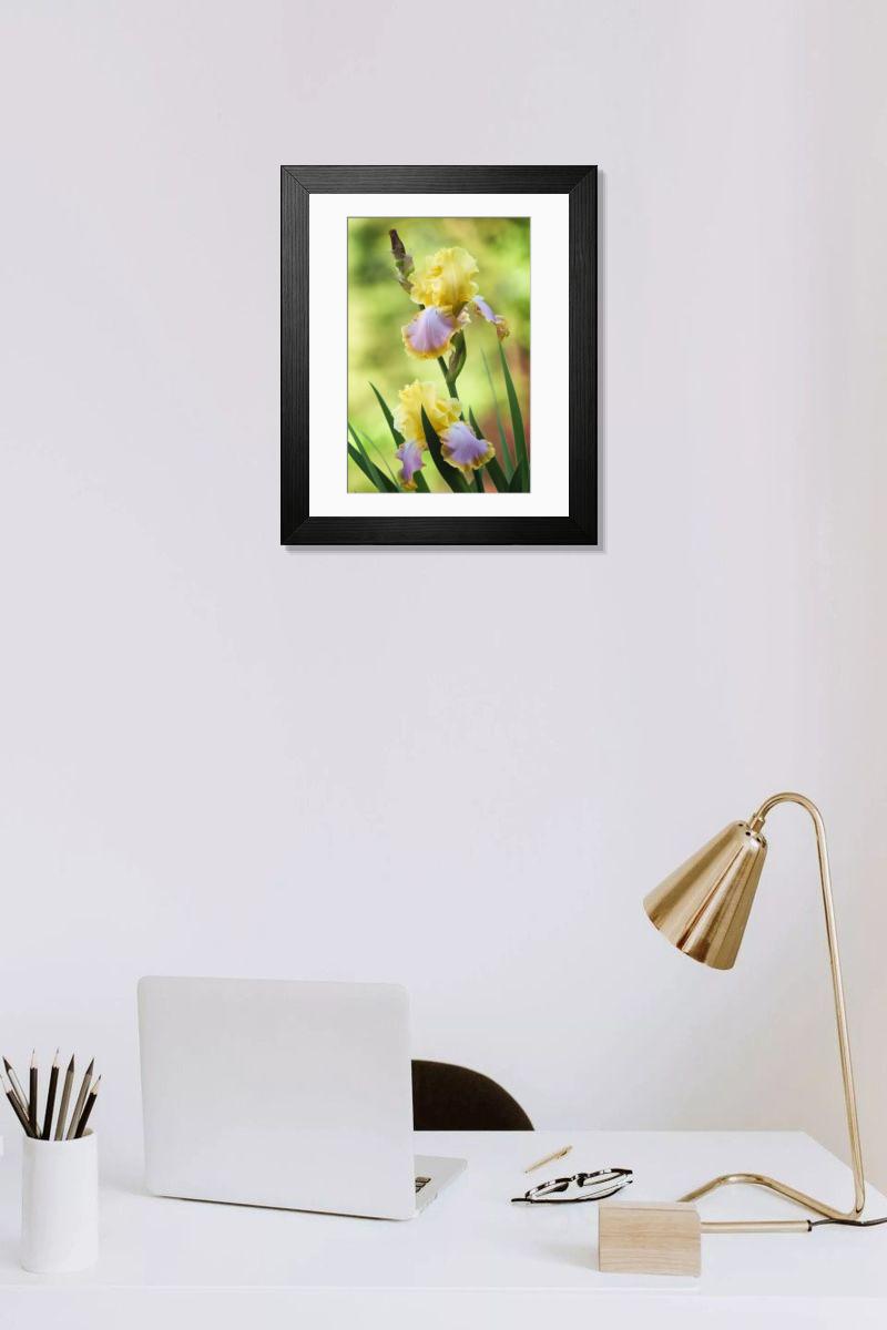 Shown hanging in a room: Modern 14"x12" (36x31cm)