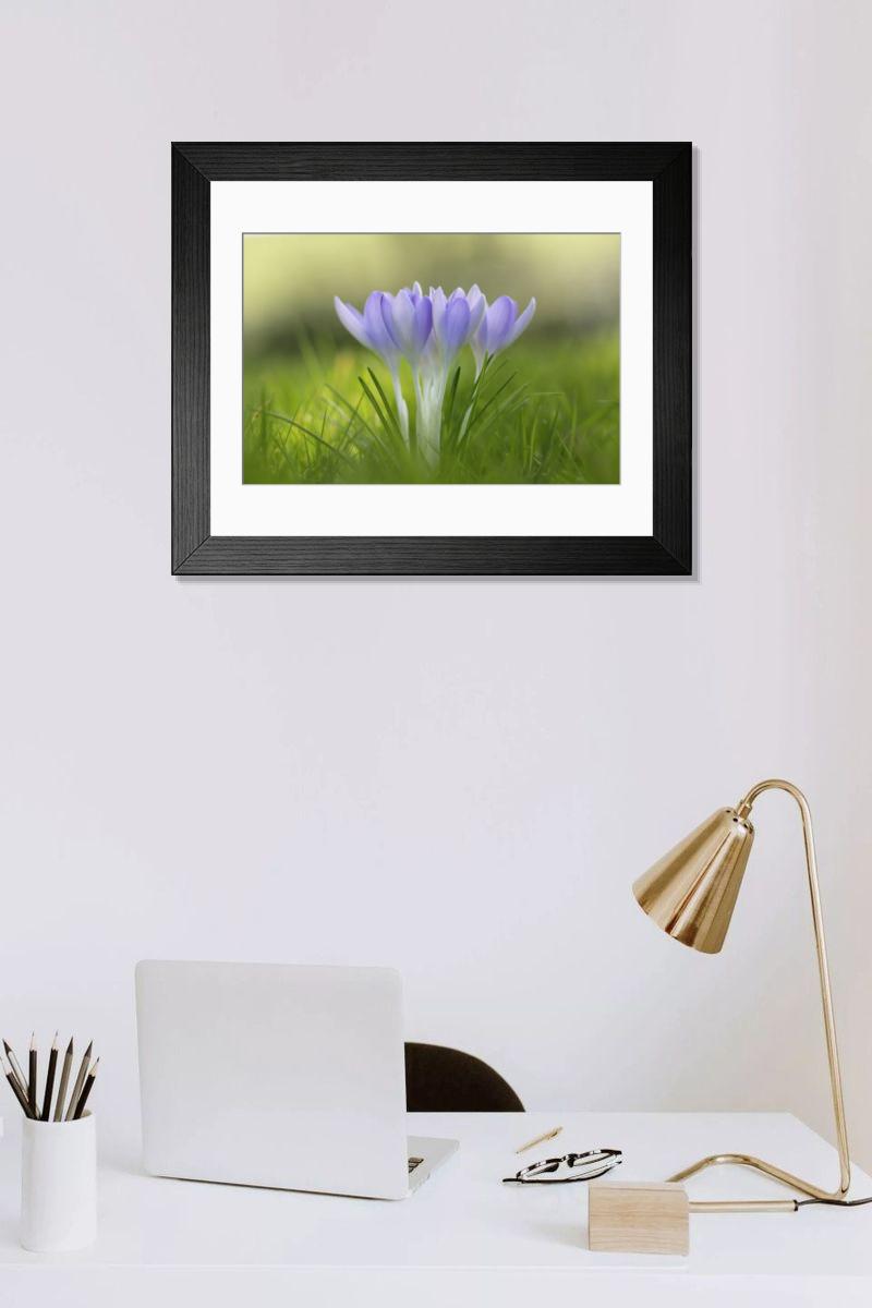 Shown hanging in a room: Modern 14"x12" (36x31cm)