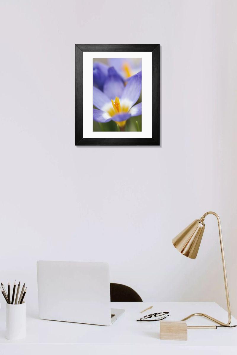 Shown hanging in a room: Modern 14"x12" (36x31cm)