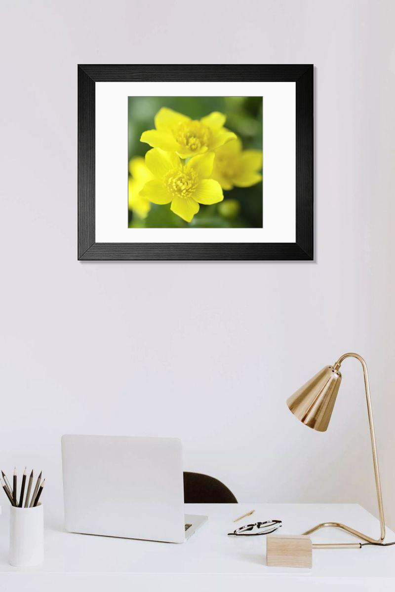 Shown hanging in a room: Modern 14"x12" (36x31cm)