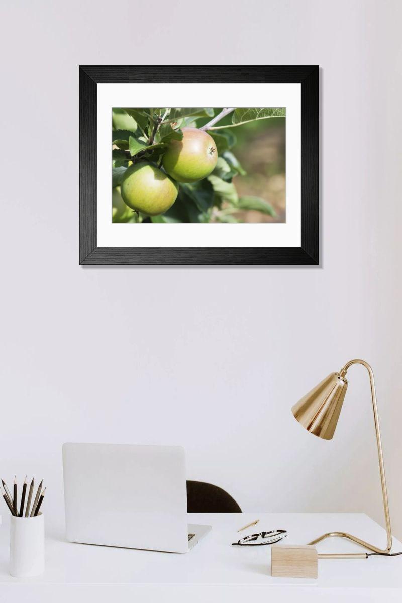 Shown hanging in a room: Modern 14"x12" (36x31cm)