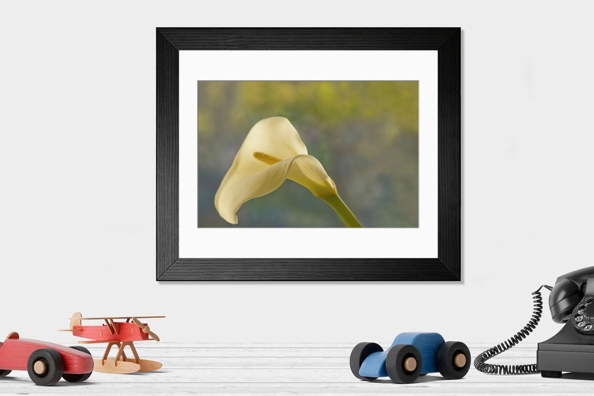 Shown hanging in a room: Modern 14"x12" (36x31cm)