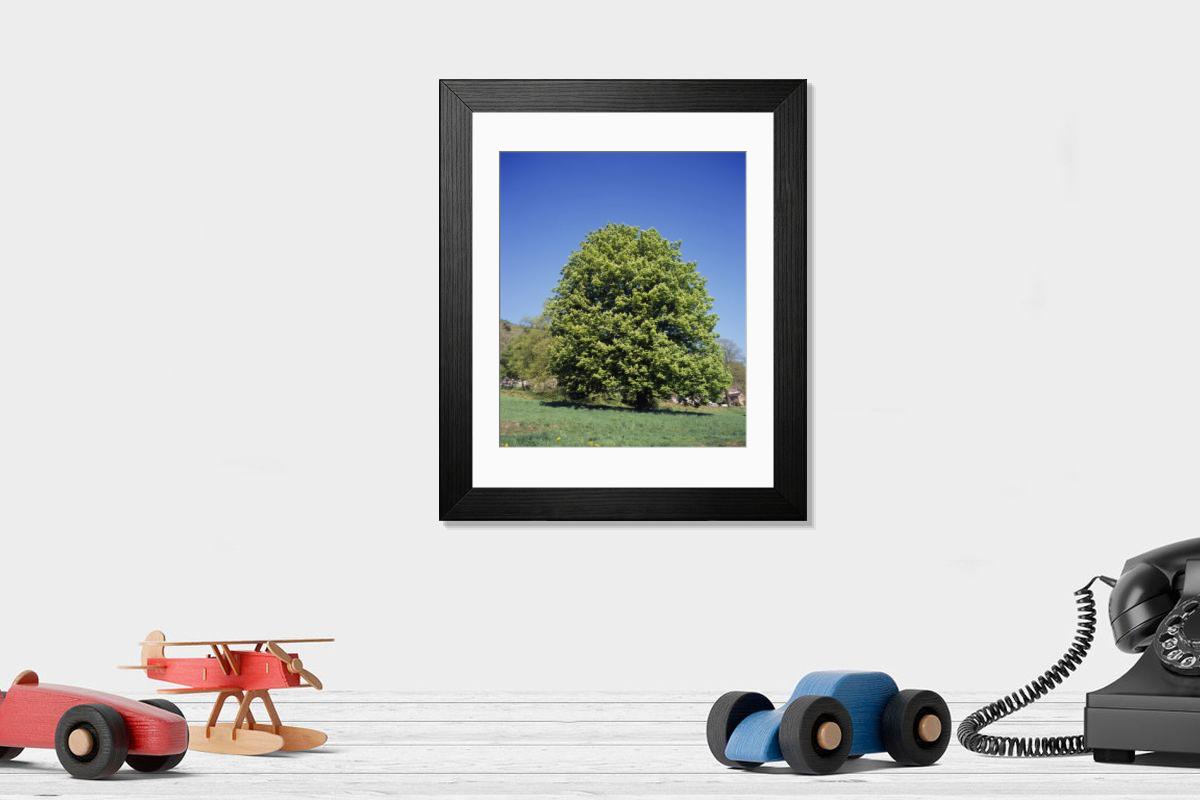 Shown hanging in a room: Modern 14"x12" (36x31cm)