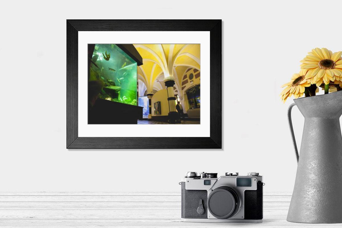 product preview 0