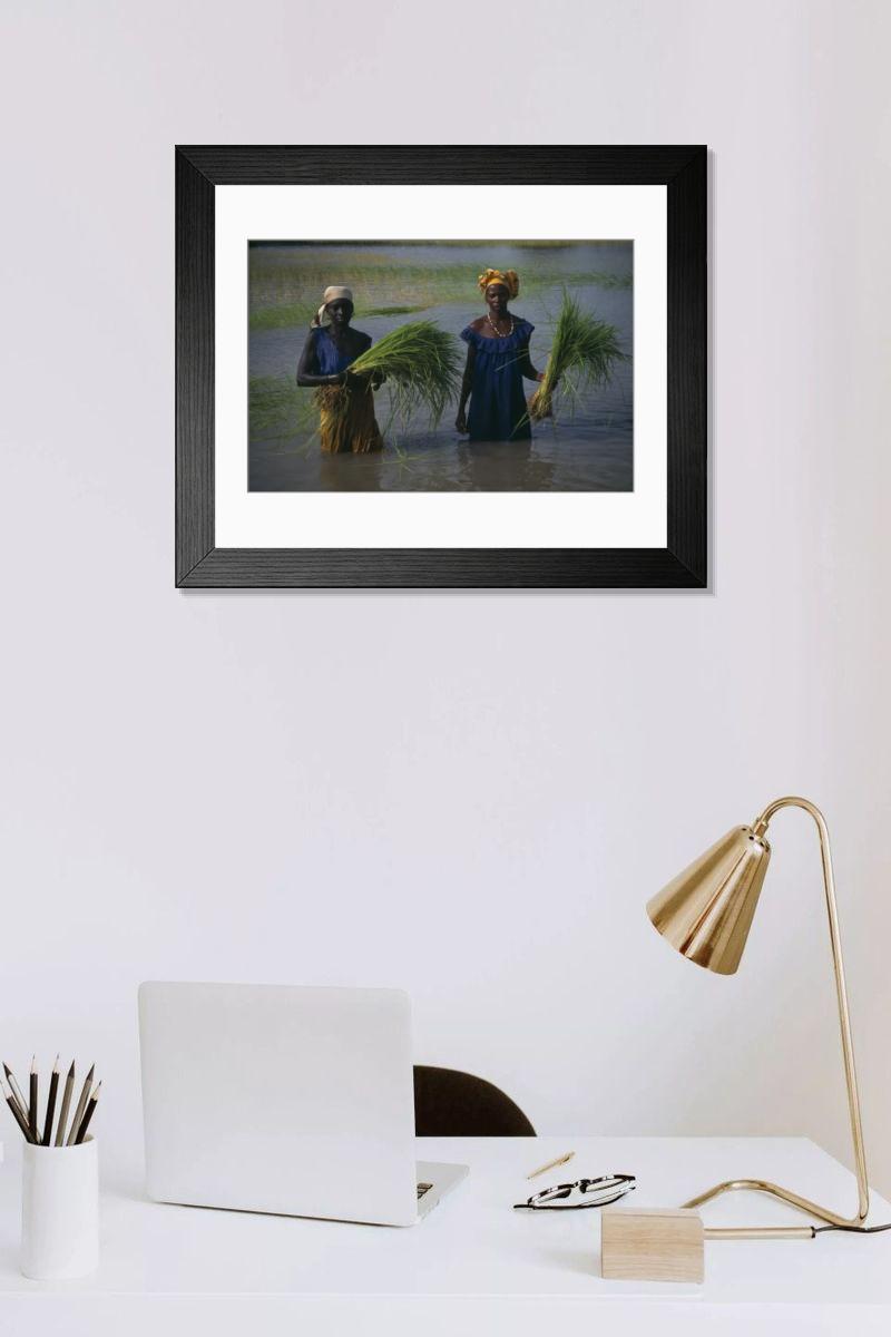 Shown hanging in a room: Modern 14"x12" (36x31cm)