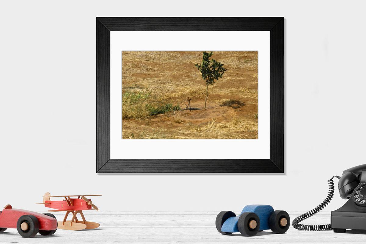 Shown hanging in a room: Modern 14"x12" (36x31cm)