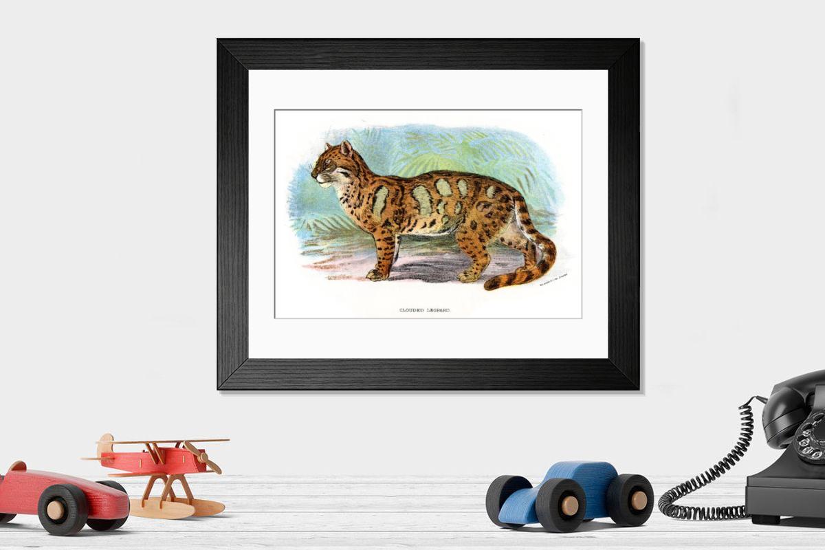 product preview 0