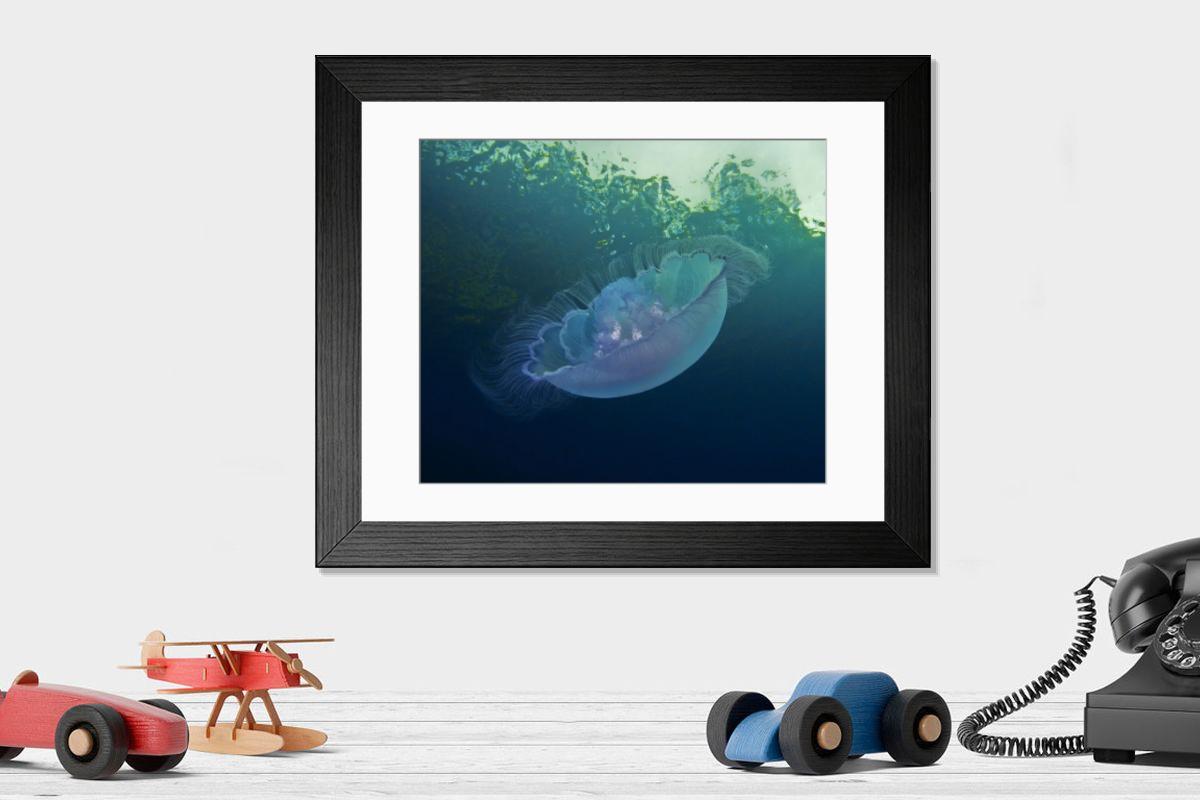 product preview 0